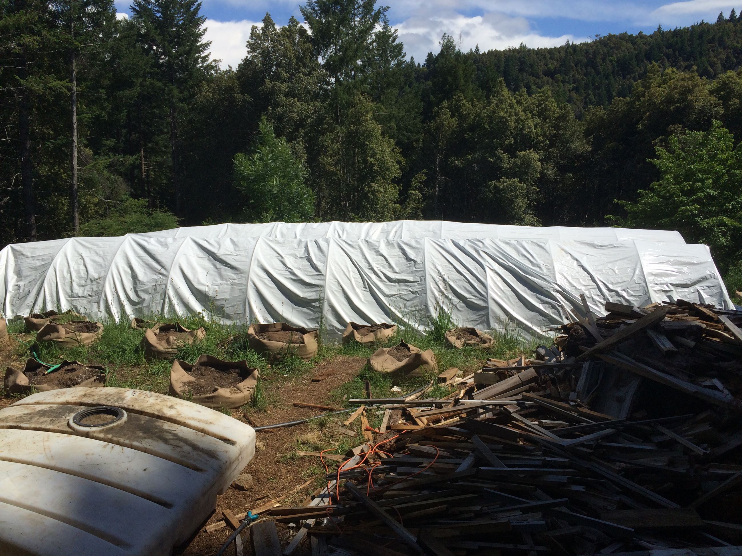 Hash Lab - 201602608